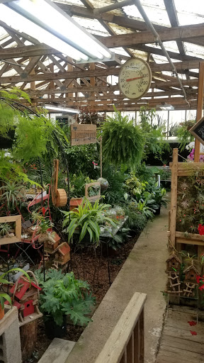 Jarrett's Jungle