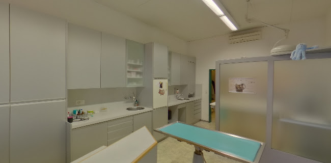 Kleintierpraxis med. vet. Andrea Greuter - Zürich