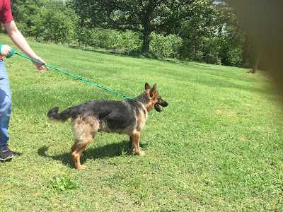 Pea Ridge Veterinary Clinic