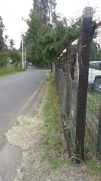 Teléfono de Gajardo Mecanica