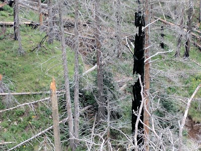 William G. Telfer Natural Area