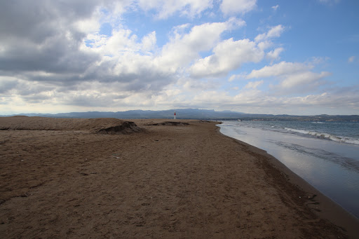Punta del Fangar - Thumbnail