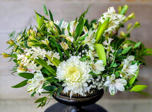 Barzen's Blooms Gallery - United States