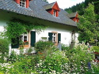 Clark & Co Property