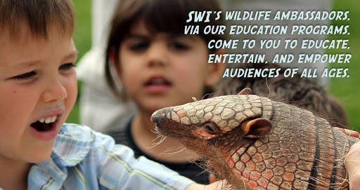 Saving Wildlife International - Thumbnail