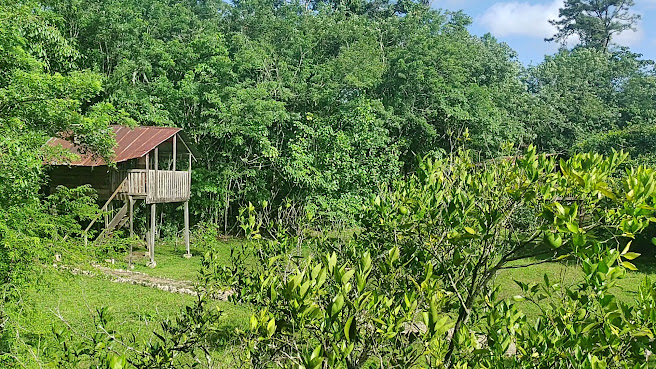 Finca Ixobel by null