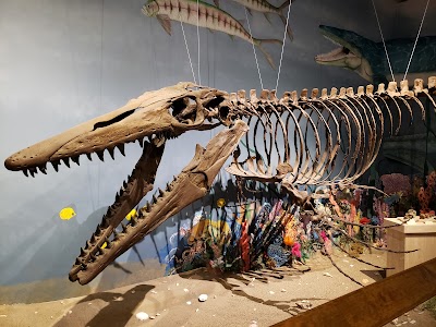 Glendive Dinosaur and Fossil Museum