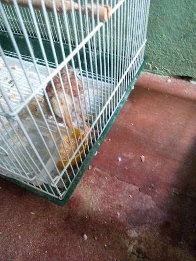 Photos of Animalia