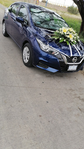 Autolavado Pollis
