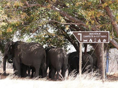 Photos of Muchenje Campsite & Cottages