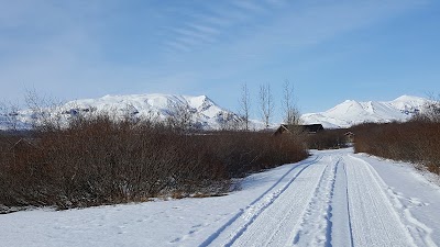 Photos of Br&uacute;ar&aacute;s. Reykjask&oacute;gur