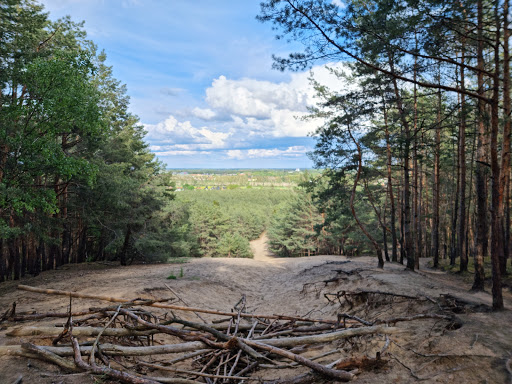 Aussichtsturm auf dem Löwendorfer Berg - Thumbnail
