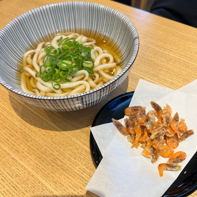 伊吹島いりこうどん燧燧（すいすい）