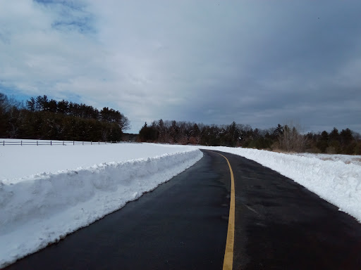 Fifer's Field - Visual