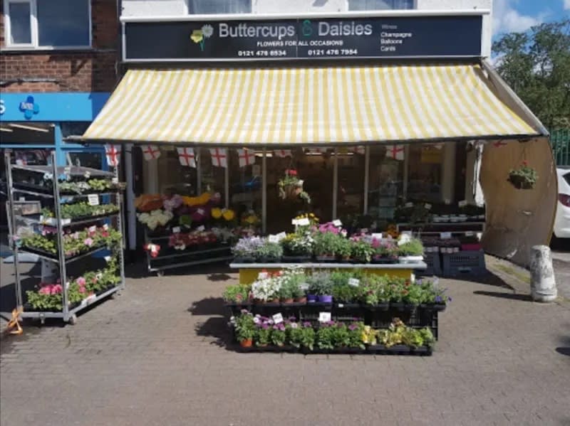 Buttercups & Daisies Florist Birmingham - Florists - photo 1