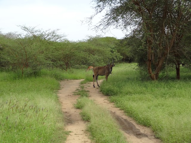 Reserve de Bandia