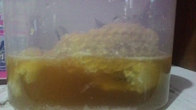 Photos of Cahaya Robusta