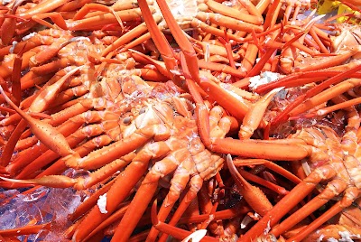 角上魚類 寺泊本店