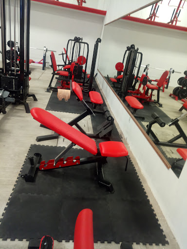 Sparta Gym & Fitness