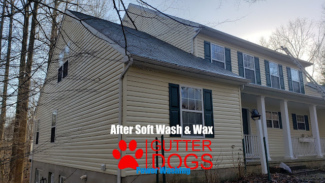 GUTTERDOGS Affordable Soft Power Washing & Safe Roof Cleaning