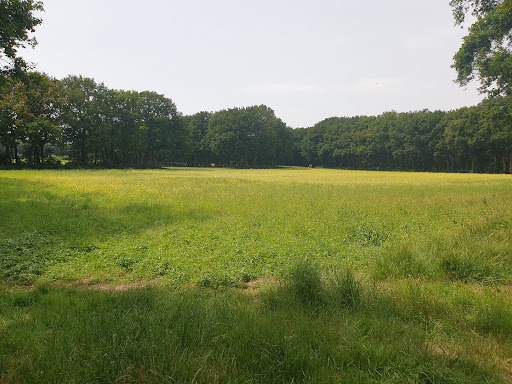 Goois Natuurreservaat Naarder Eng - Thumbnail