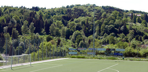 Sportverein Spiegelberg e.V. - Thumbnail