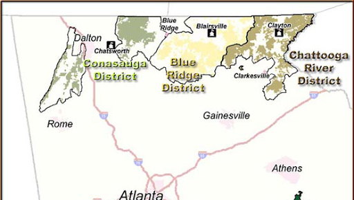 Benton Mackaye Trail in Georgia - Thumbnail