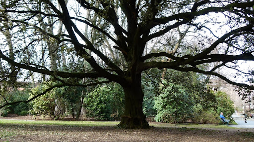 Parc Geisendorf