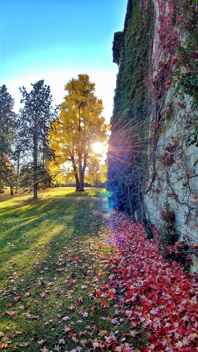 Jardin d'horticulture