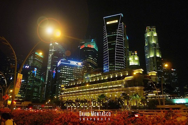 Singapore Biennale: The Merlion Hotel