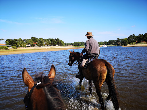 Destinations Cheval - Thumbnail