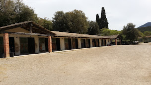 Photo n°10 de Centre Equestre Ecurie Le Grand Puech à Gardanne (Centre équestre)