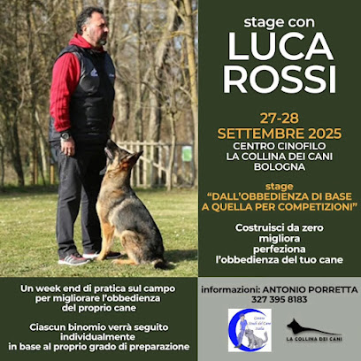 Dog Bo - servizi per animali domestici