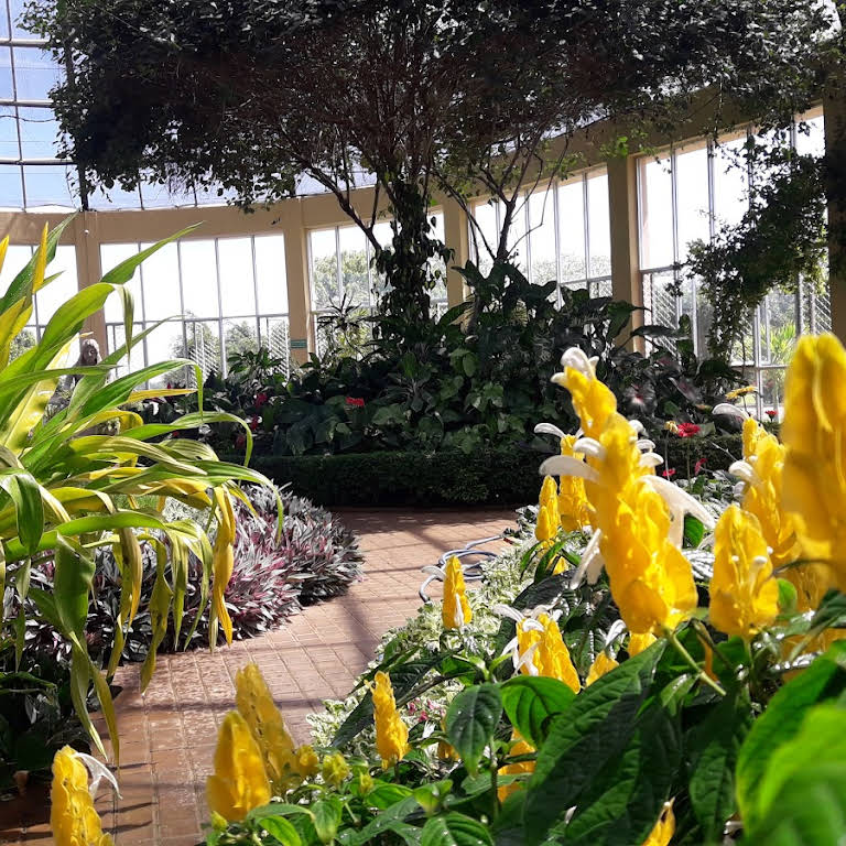 Dry Zone Botanic Gardens, Hambantota - Botanical Garden in Hambantota