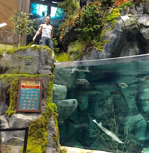 Tropical Reef Aquarium Maintenance Gallery - United States