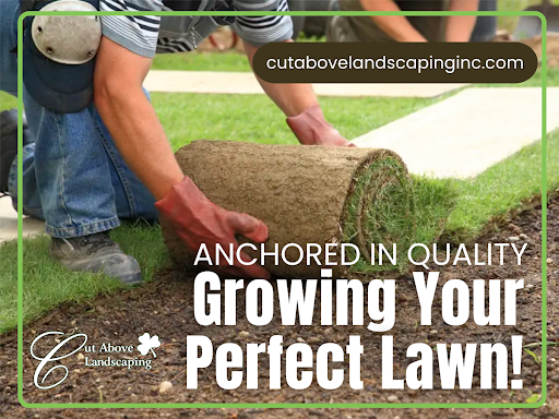 Premium Lawn Services