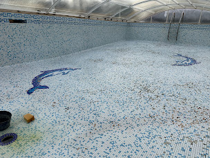 Photo n°10 de W Formation Expertise Piscine à Saint-Maixant (Centre de formation)