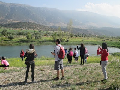 Photos of Skoura Gite