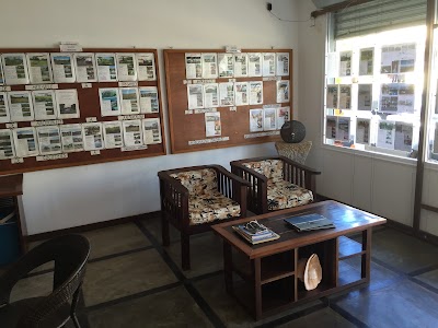 real-estate-agency