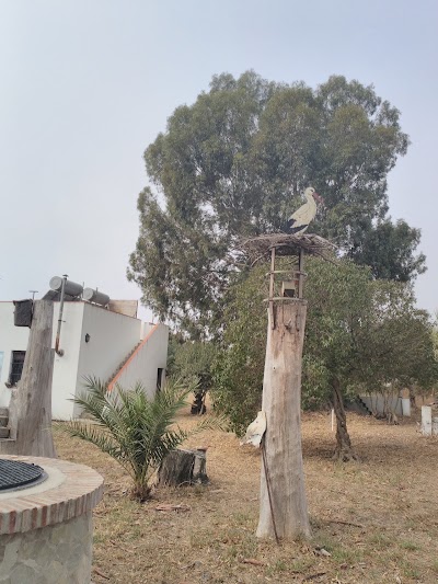 Photos of Estaci&oacute;n Ornitol&oacute;gica de Tarifa - COCN. & Ayto. de Tarifa