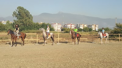 Basketbol Sahası