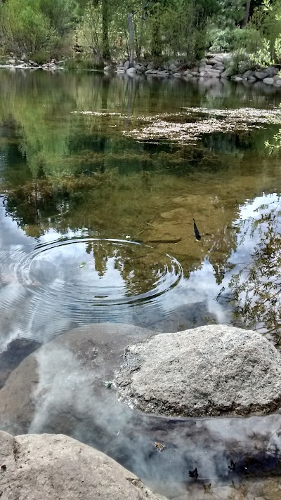 Galena Creek Fish Hatchery