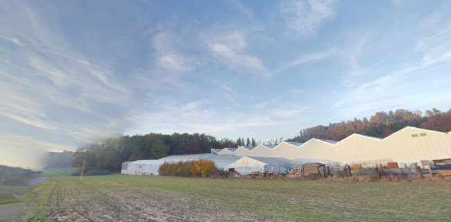 JUMBO Maximo Allmendingen