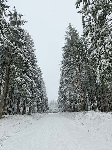 Weißer Stein City - Parkplatz - Thumbnail