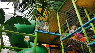 Photos of Leaf Areena