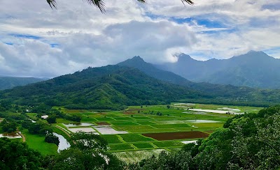 The Coffee Bean & Tea Leaf Princeville