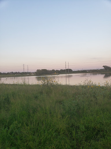Alliance Park - Thumbnail