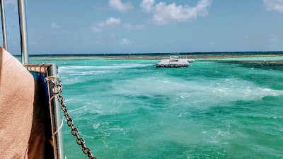 Photos of Stingray City Antigua