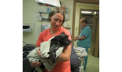 Photos of Cedarwood Veterinary Clinic
