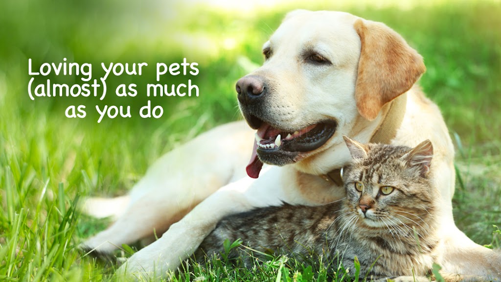 Agawam Animal Hospital